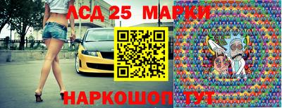 гашик Новокубанск