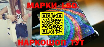 гашик Новокубанск