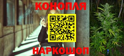 винт Новозыбков