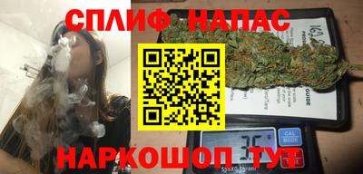 гашик Новокубанск