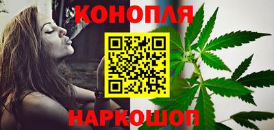 гашик Новокубанск